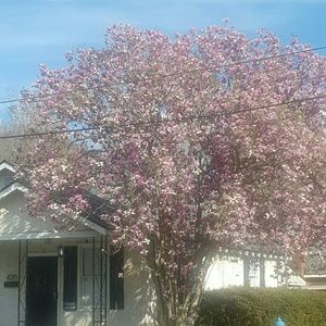 Meet your Posher, Linda